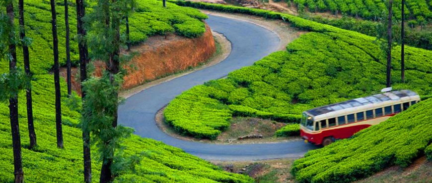 ooty and kodaikanal tour packages from chennai